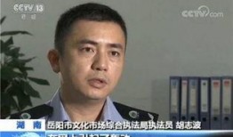 东北二嫂车震在线观看,揭秘网络热传视频背后的真相